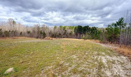 Photo #4 of 505 Shag, Chesterfield, SC