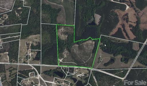 Photo #6 of 505 Shag, Chesterfield, SC