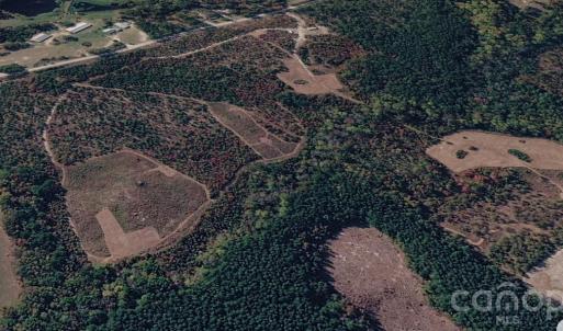 Photo #17 of 505 Shag, Chesterfield, SC