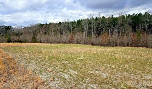 Photo #5 of 505 Shag, Chesterfield, SC