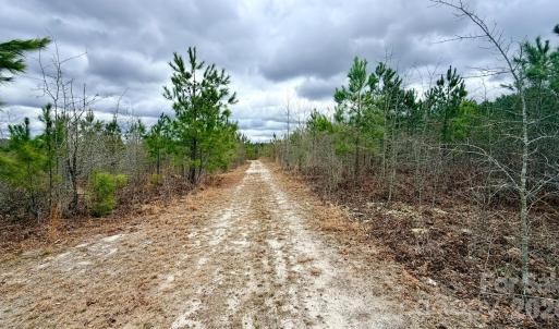 Photo #12 of 505 Shag, Chesterfield, SC