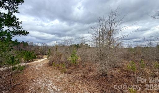 Photo #34 of 505 Shag, Chesterfield, SC