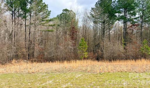 Photo #3 of 505 Shag, Chesterfield, SC