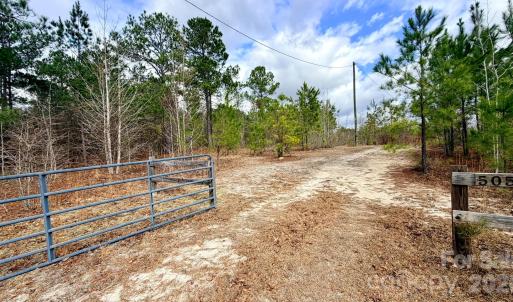 Photo #2 of 505 Shag, Chesterfield, SC