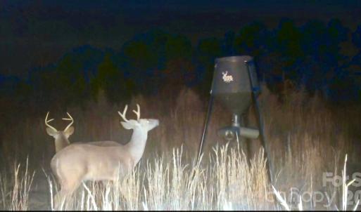 Photo #27 of 505 Shag, Chesterfield, SC