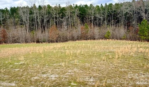 Photo #13 of 505 Shag, Chesterfield, SC