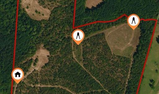 Photo #26 of 505 Shag, Chesterfield, SC