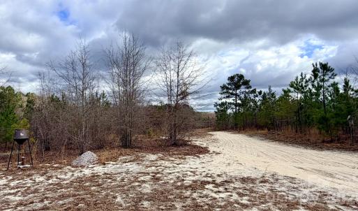 Photo #8 of 505 Shag, Chesterfield, SC