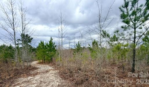 Photo #23 of 505 Shag, Chesterfield, SC