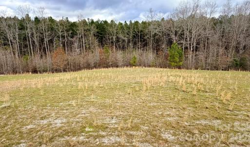 Photo #35 of 505 Shag, Chesterfield, SC