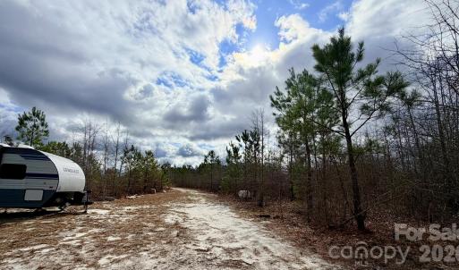 Photo #11 of 505 Shag, Chesterfield, SC