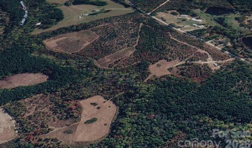 Photo #16 of 505 Shag, Chesterfield, SC