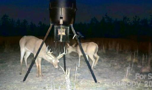 Photo #30 of 505 Shag, Chesterfield, SC