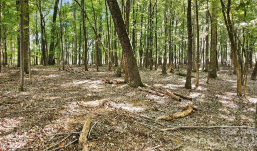 Photo #2 of Lot 2 Indian Trail Fairview, Indian Trail, NC