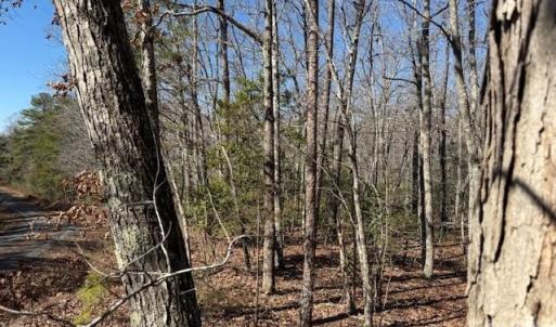 Photo #3 of Thayer, Troy, NC