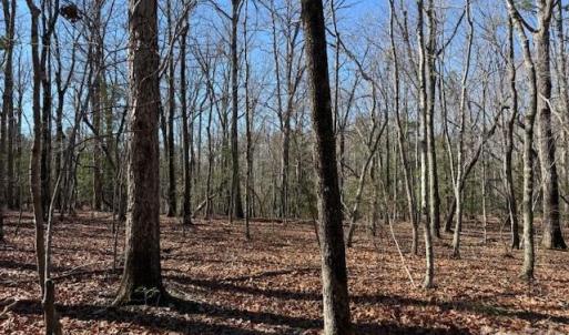 Photo #1 of Thayer, Troy, NC