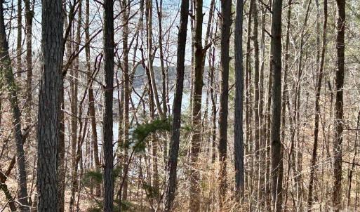 Photo #6 of 115 Water Oak, Mount Gilead, NC