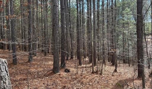 Photo #5 of 115 Water Oak, Mount Gilead, NC