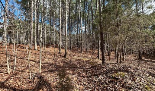 Photo #7 of 115 Water Oak, Mount Gilead, NC