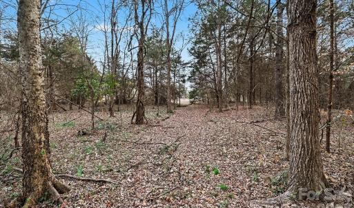 Photo #3 of 1204 Shalimar, Concord, NC