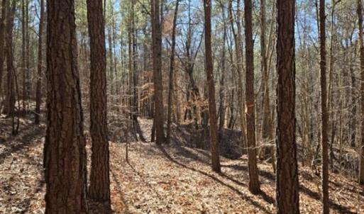 Photo #5 of 109 NC Highway 109, Wadesboro, NC