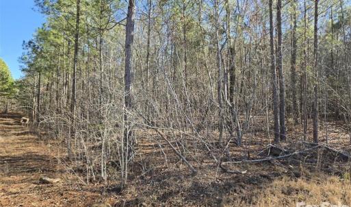 Photo #6 of 109 NC Highway 109, Wadesboro, NC