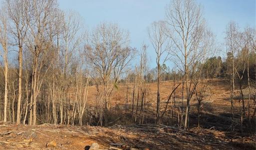 Photo #17 of VACANT LAND Pole Running, Mount Pleasant, NC