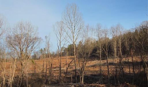 Photo #1 of VACANT LAND Pole Running, Mount Pleasant, NC