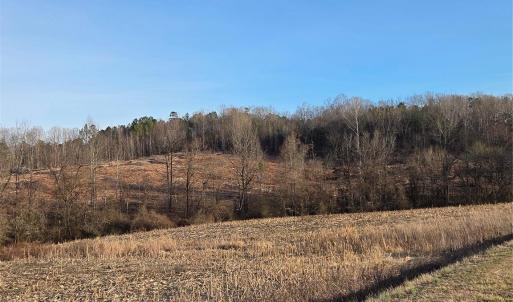 Photo #6 of VACANT LAND Pole Running, Mount Pleasant, NC