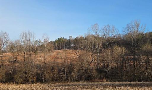 Photo #14 of VACANT LAND Pole Running, Mount Pleasant, NC