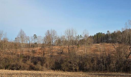 Photo #15 of VACANT LAND Pole Running, Mount Pleasant, NC
