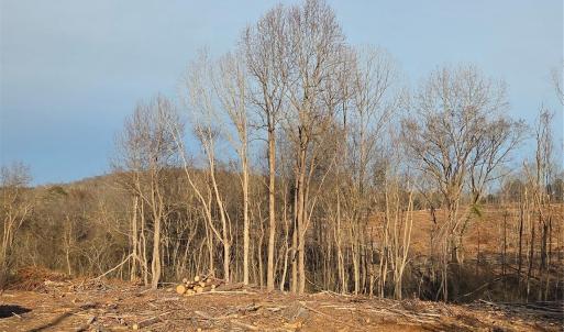 Photo #18 of VACANT LAND Pole Running, Mount Pleasant, NC