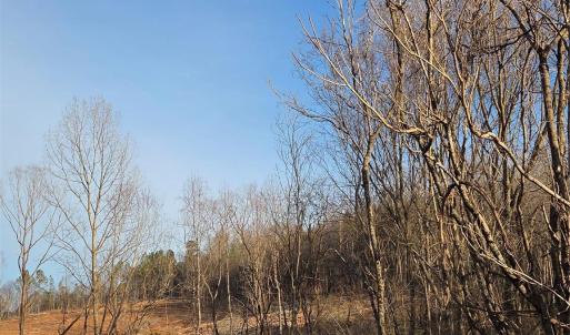 Photo #20 of VACANT LAND Pole Running, Mount Pleasant, NC