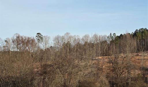 Photo #4 of VACANT LAND Pole Running, Mount Pleasant, NC