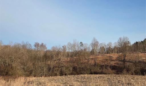 Photo #10 of VACANT LAND Pole Running, Mount Pleasant, NC