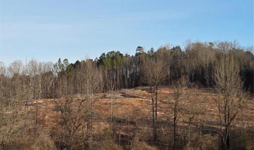 Photo #3 of VACANT LAND Pole Running, Mount Pleasant, NC