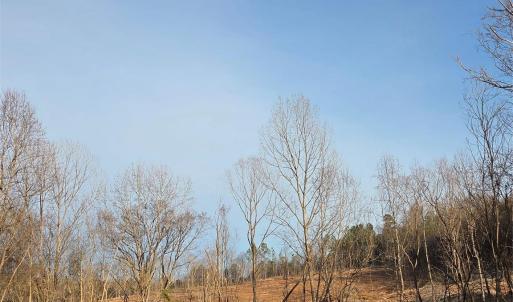Photo #19 of VACANT LAND Pole Running, Mount Pleasant, NC