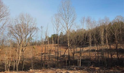 Photo #2 of VACANT LAND Pole Running, Mount Pleasant, NC