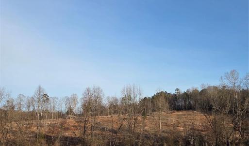 Photo #13 of VACANT LAND Pole Running, Mount Pleasant, NC