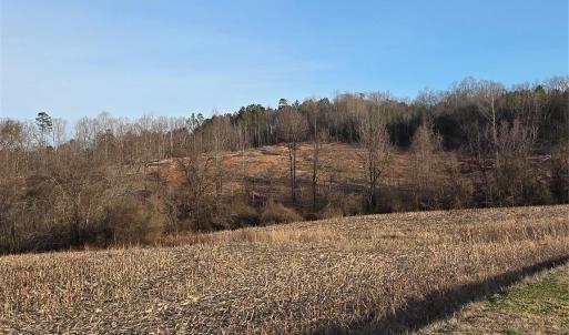 Photo #5 of VACANT LAND Pole Running, Mount Pleasant, NC