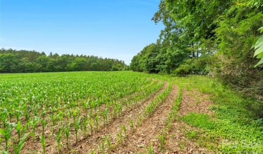 Photo #25 of Lucy Short Cut, Marshville, NC