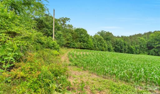 Photo #24 of Lucy Short Cut, Marshville, NC