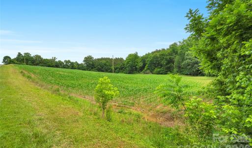 Photo #2 of Lucy Short Cut, Marshville, NC