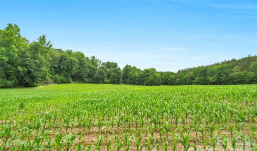 Photo #7 of Lucy Short Cut, Marshville, NC