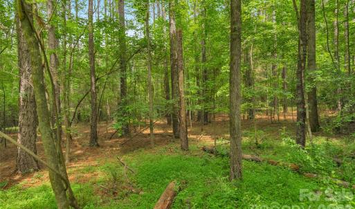 Photo #14 of Lucy Short Cut, Marshville, NC