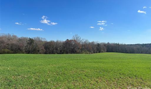Photo #4 of Bridge, Mount Pleasant, NC