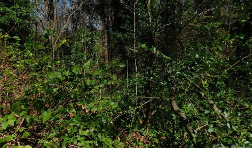 Photo #2 of Todd, Concord, NC