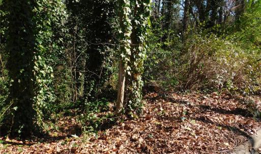 Photo #4 of Todd, Concord, NC