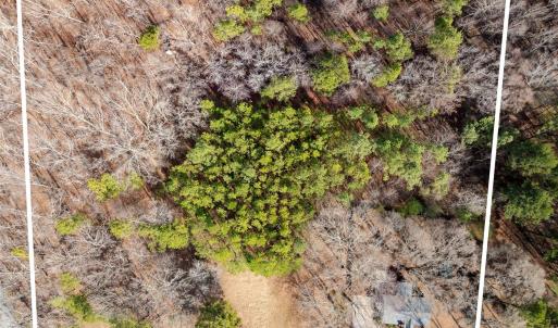 Photo #2 of 3109 Forest Lawn, Matthews, NC