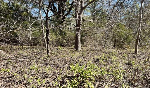 Photo #17 of 8334 Victoria Lake, Waxhaw, NC